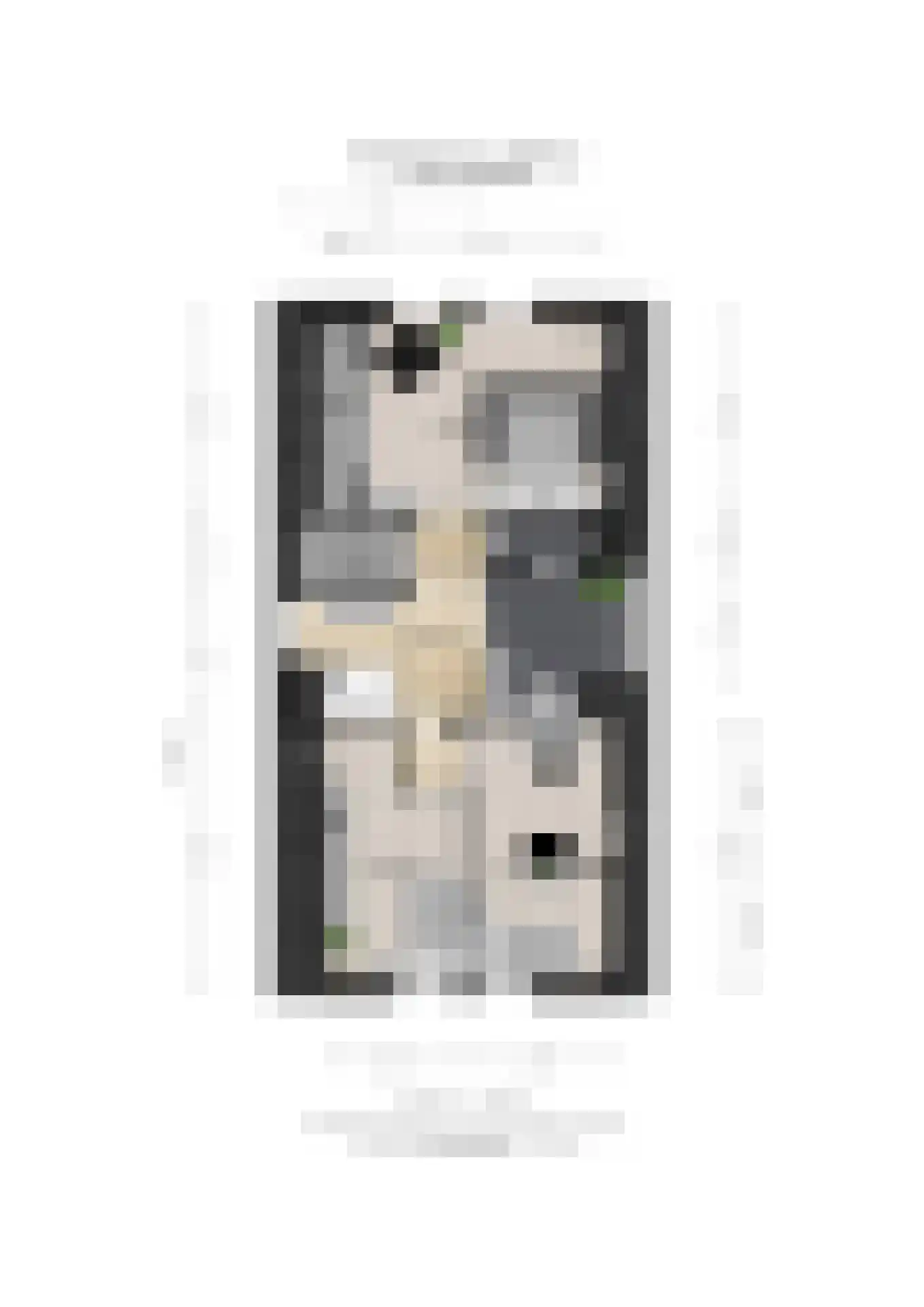 Breedschotsestraat 12 Rijsbergen thumbnail 64