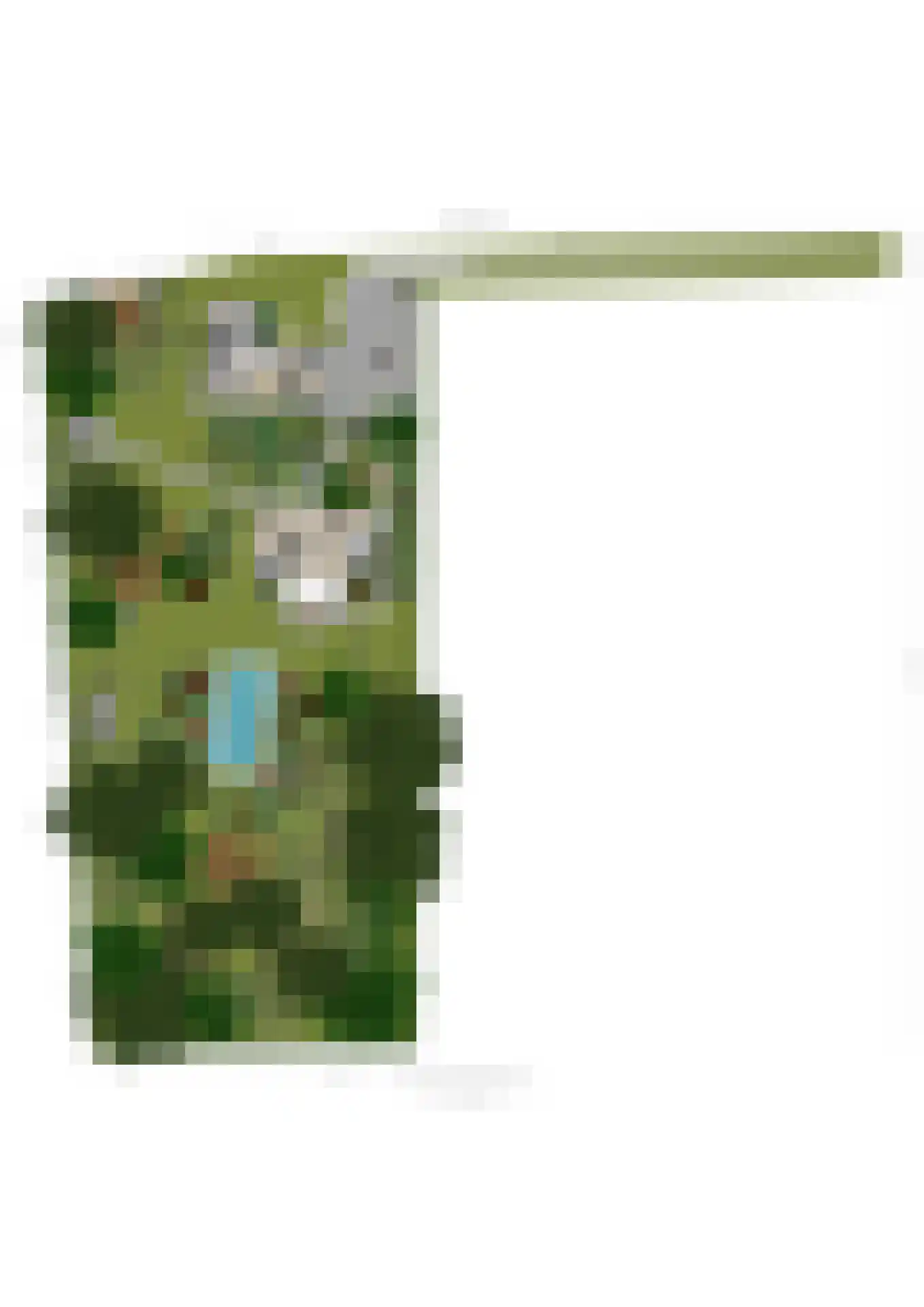 Breedschotsestraat 12 Rijsbergen thumbnail 67