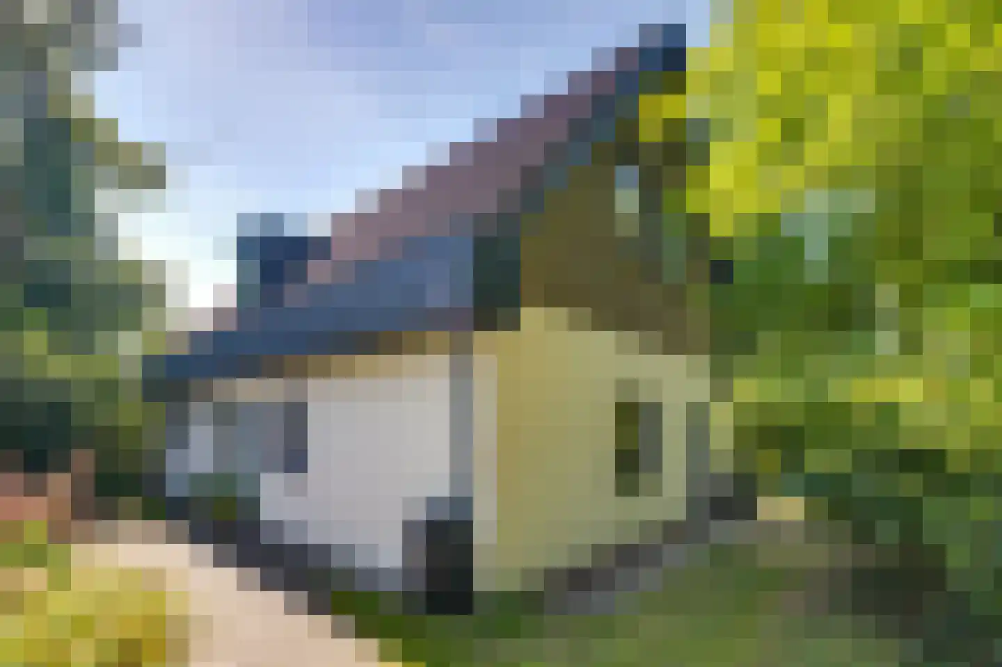 Breedschotsestraat 12 Rijsbergen thumbnail 7