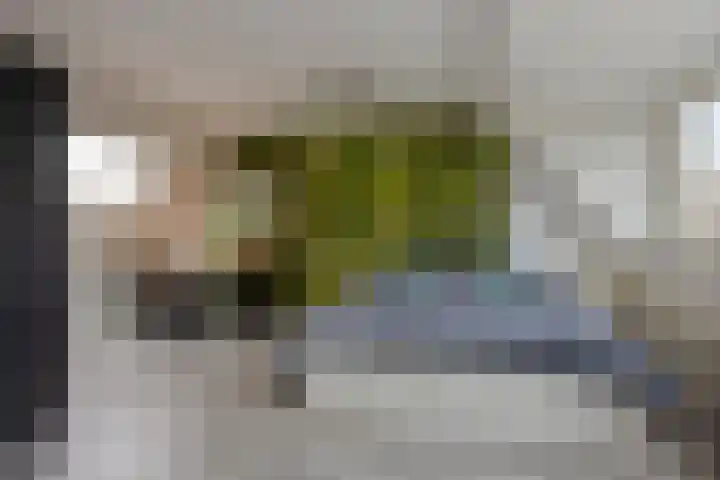 Breedspoor 176 Capelle aan den IJssel thumbnail 20