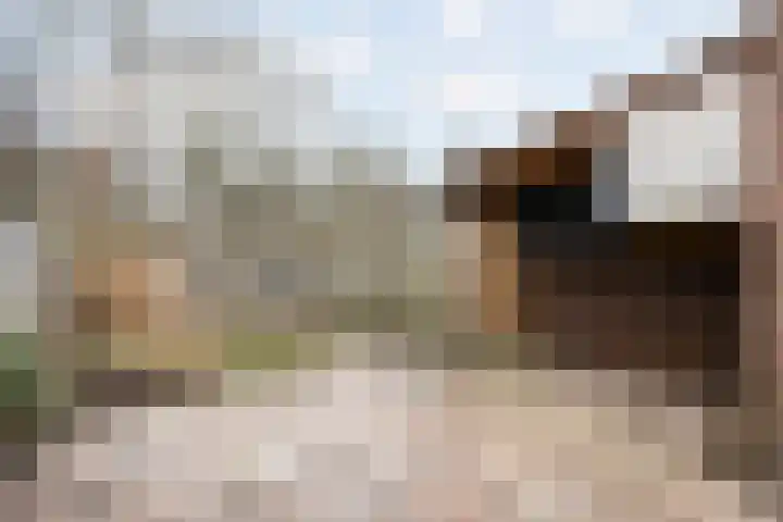 Breedspoor 176 Capelle aan den IJssel thumbnail 23