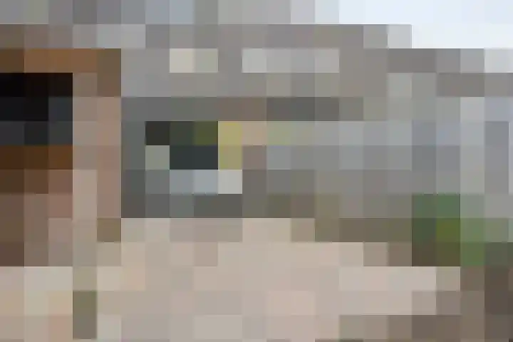Breedspoor 176 Capelle aan den IJssel thumbnail 24