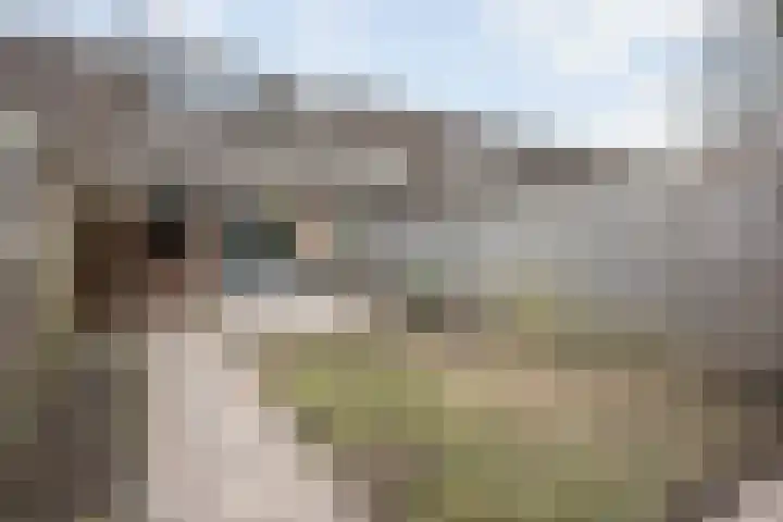 Breedspoor 176 Capelle aan den IJssel thumbnail 25