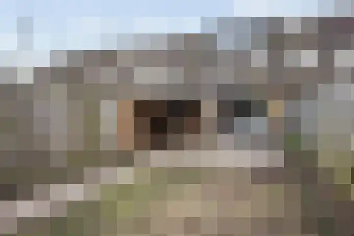 Breedspoor 176 Capelle aan den IJssel thumbnail 26