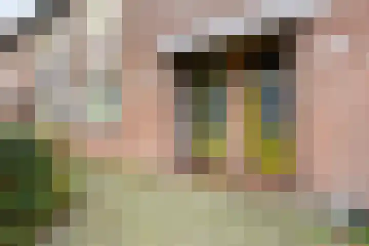 Breedspoor 176 Capelle aan den IJssel thumbnail 4
