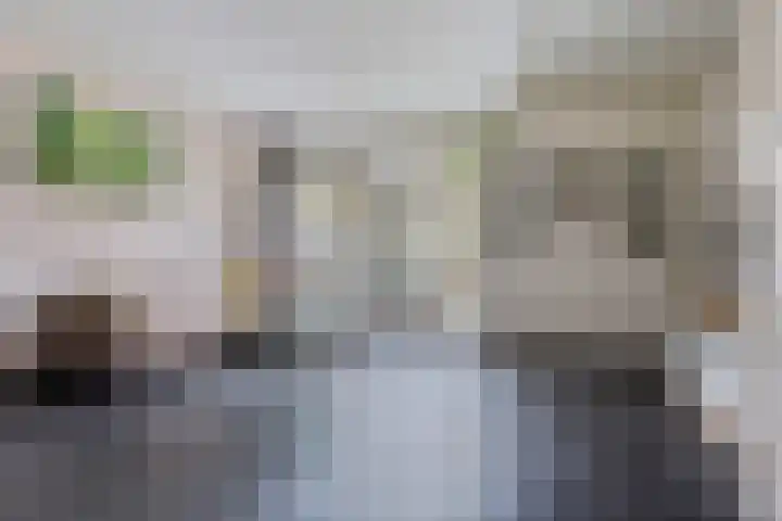Breedspoor 176 Capelle aan den IJssel thumbnail 5