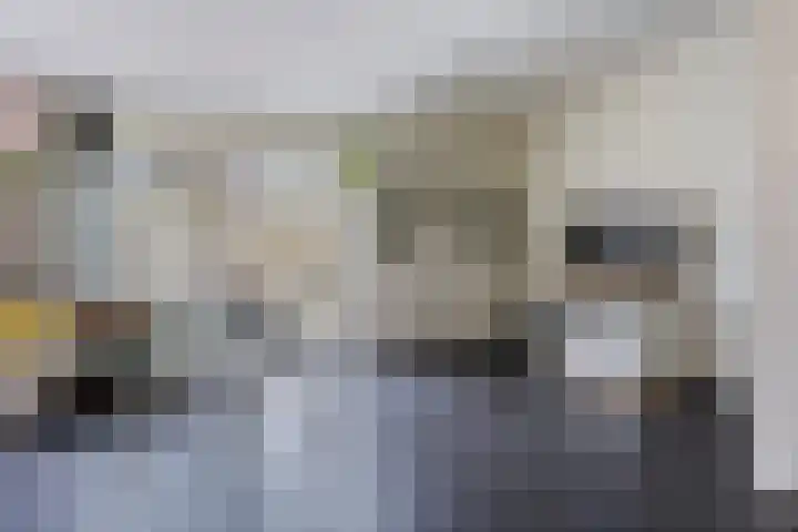 Breedspoor 176 Capelle aan den IJssel thumbnail 6