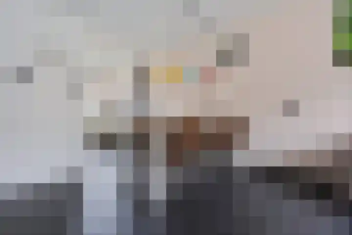 Breedspoor 176 Capelle aan den IJssel thumbnail 8