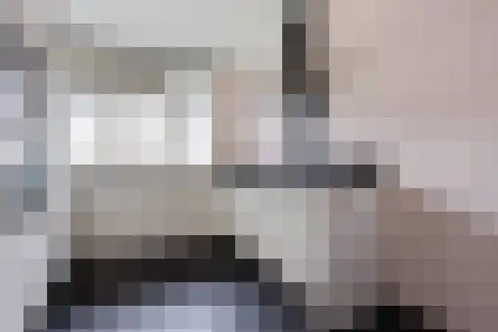 Breedspoor 176 Capelle aan den IJssel thumbnail 9