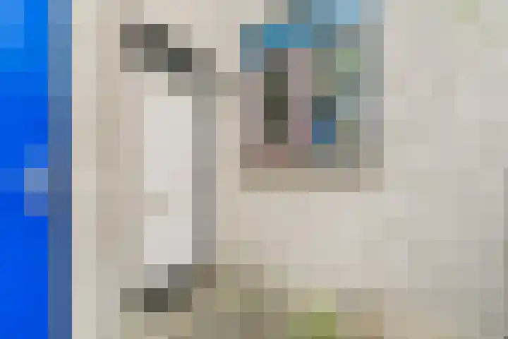 Breedspoor 56 Capelle aan den IJssel thumbnail 21