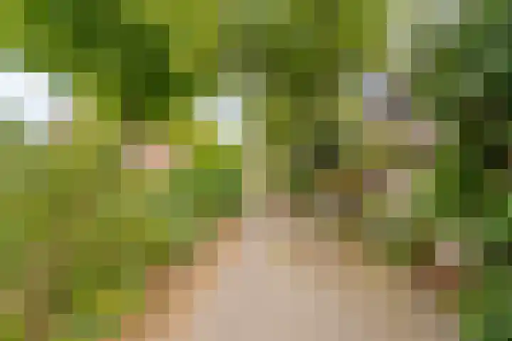 Breedspoor 56 Capelle aan den IJssel thumbnail 22