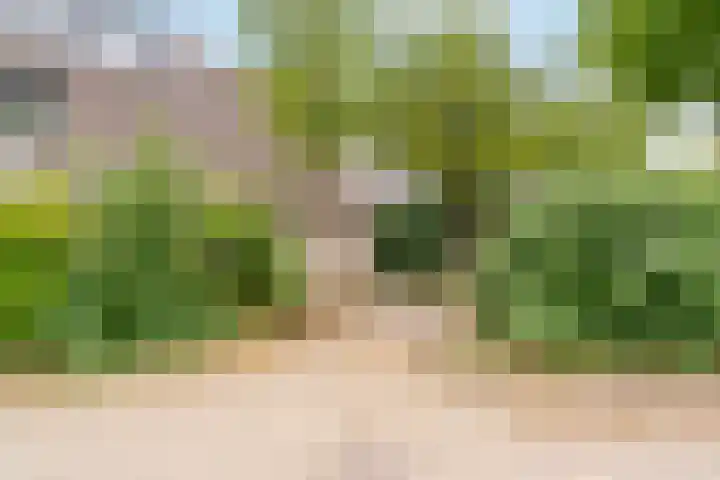 Breedspoor 56 Capelle aan den IJssel thumbnail 23