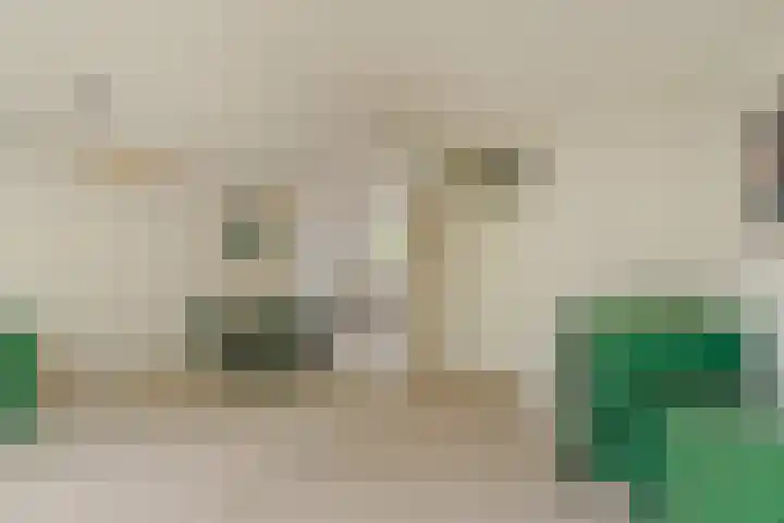 Breedspoor 56 Capelle aan den IJssel thumbnail 4
