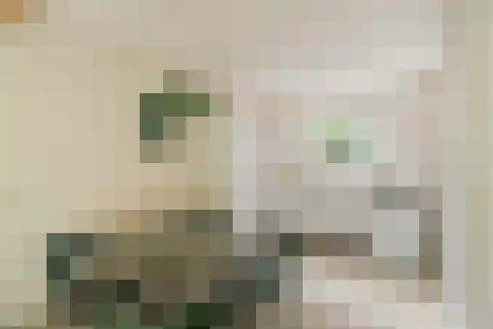 Breedspoor 56 Capelle aan den IJssel thumbnail 5