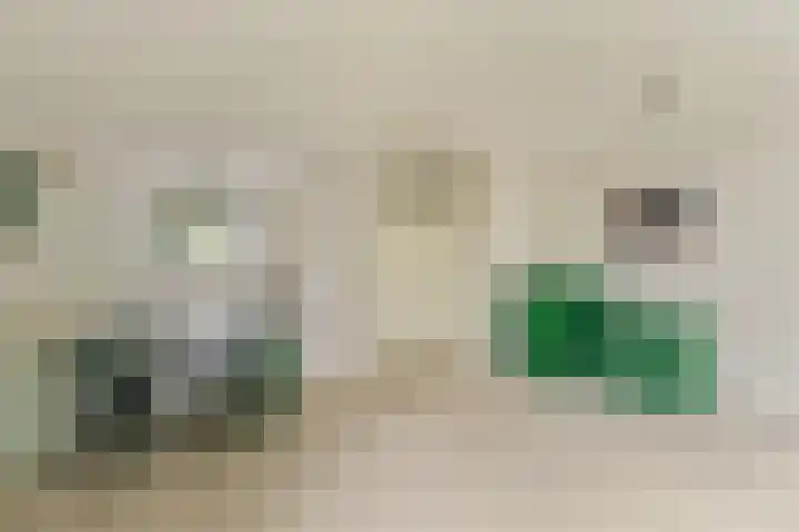 Breedspoor 56 Capelle aan den IJssel thumbnail 8