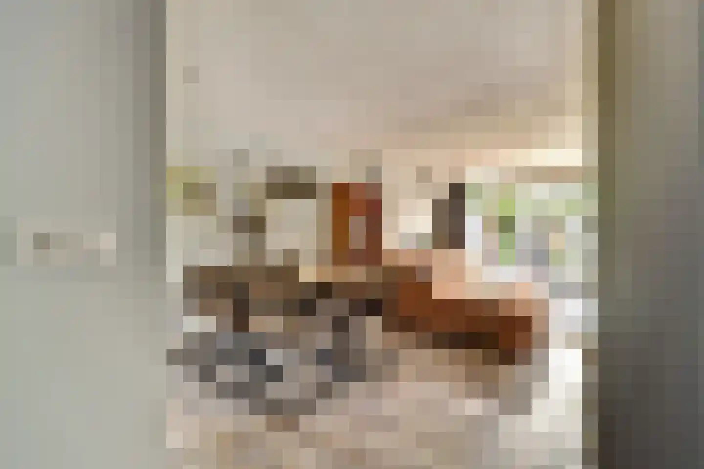 Breedspoor 66 Capelle aan den IJssel thumbnail 13