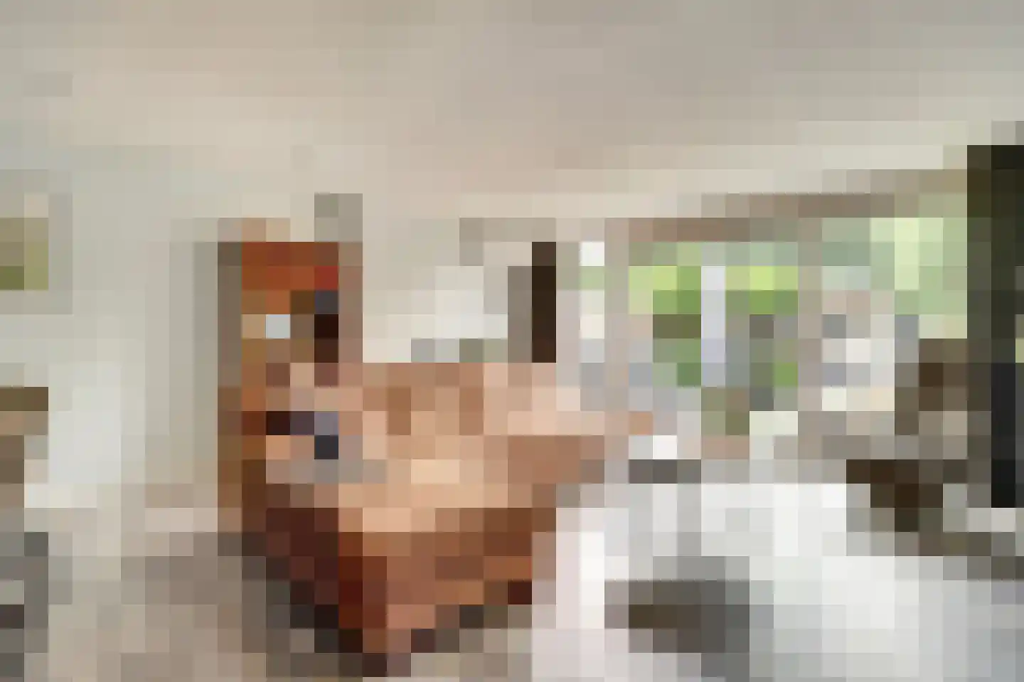 Breedspoor 66 Capelle aan den IJssel thumbnail 14