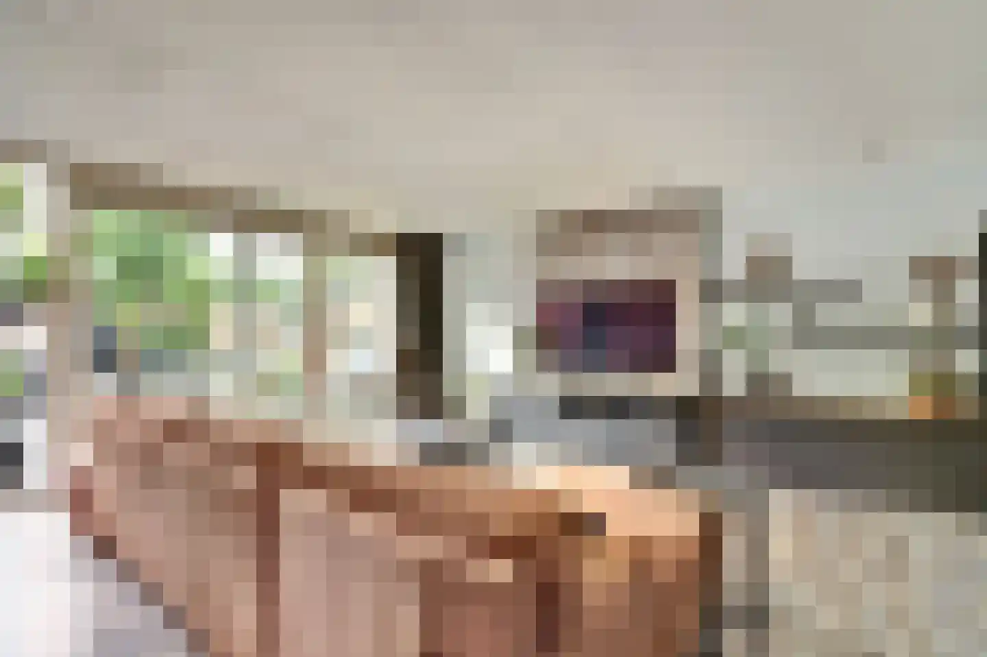 Breedspoor 66 Capelle aan den IJssel thumbnail 15