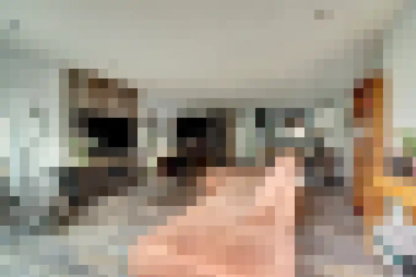 Breedspoor 66 Capelle aan den IJssel thumbnail 16