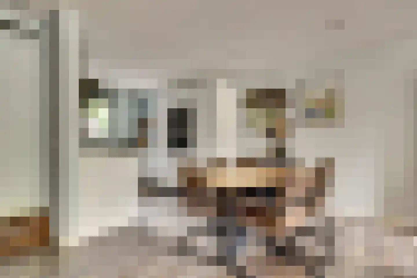 Breedspoor 66 Capelle aan den IJssel thumbnail 18