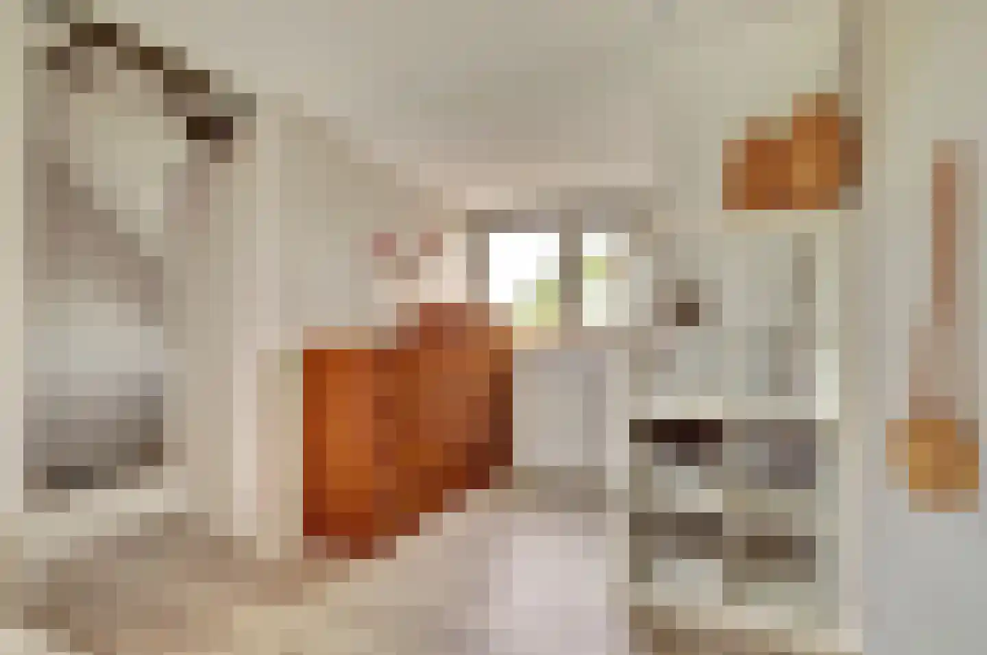 Breedspoor 66 Capelle aan den IJssel thumbnail 27