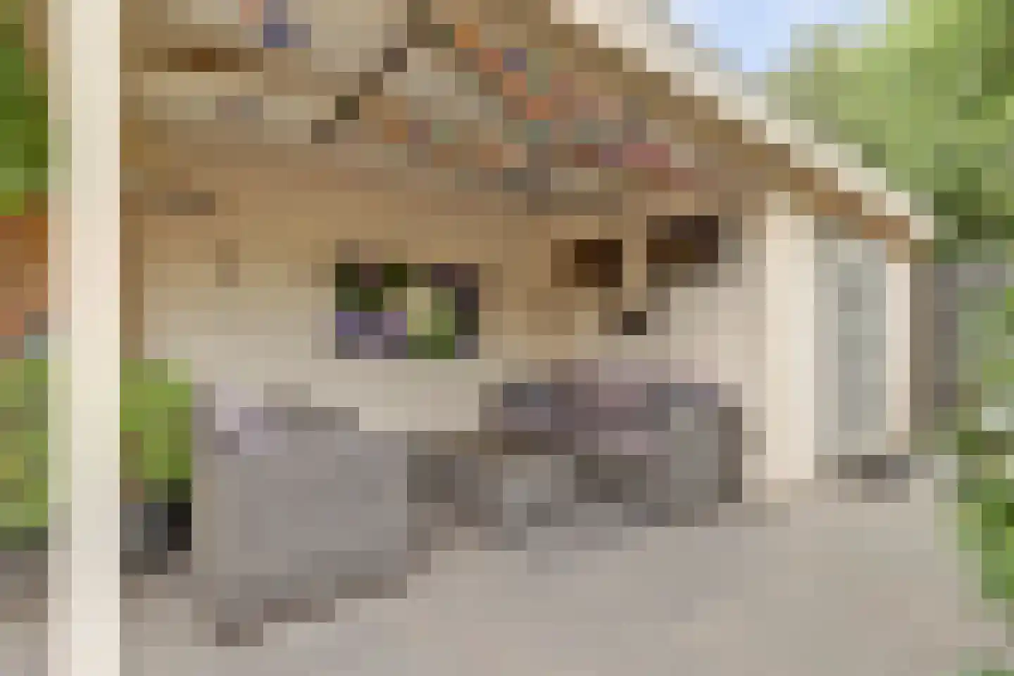 Breedspoor 66 Capelle aan den IJssel thumbnail 31