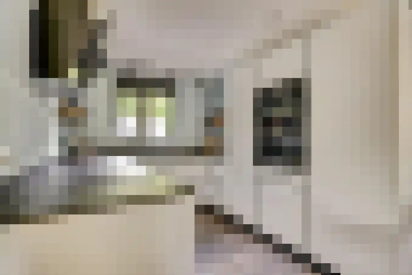 Breedspoor 66 Capelle aan den IJssel thumbnail 6