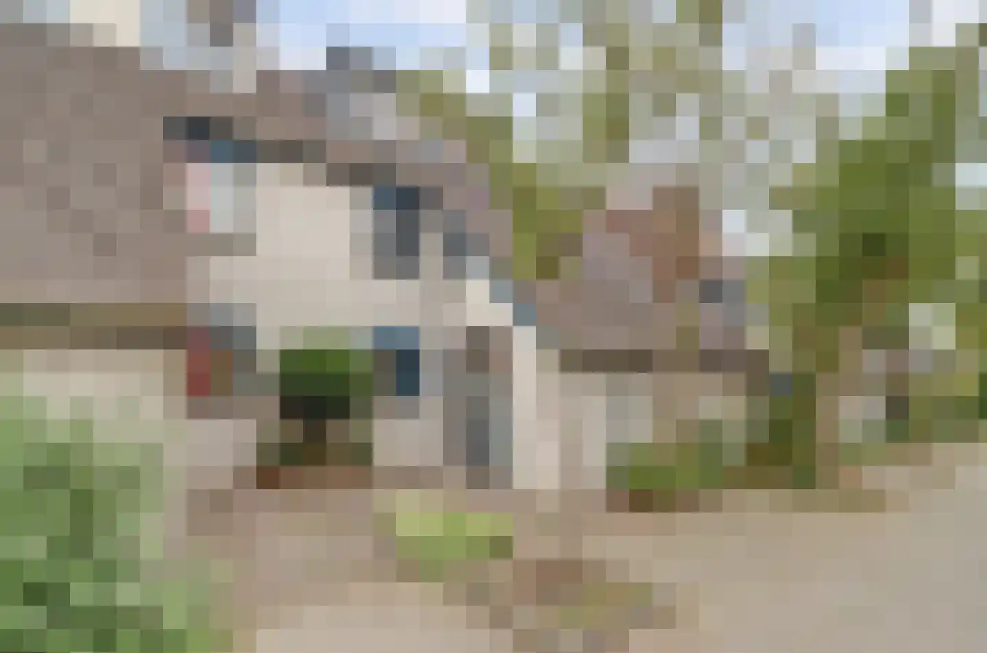 Breedspoor 66 Capelle aan den IJssel thumbnail 8