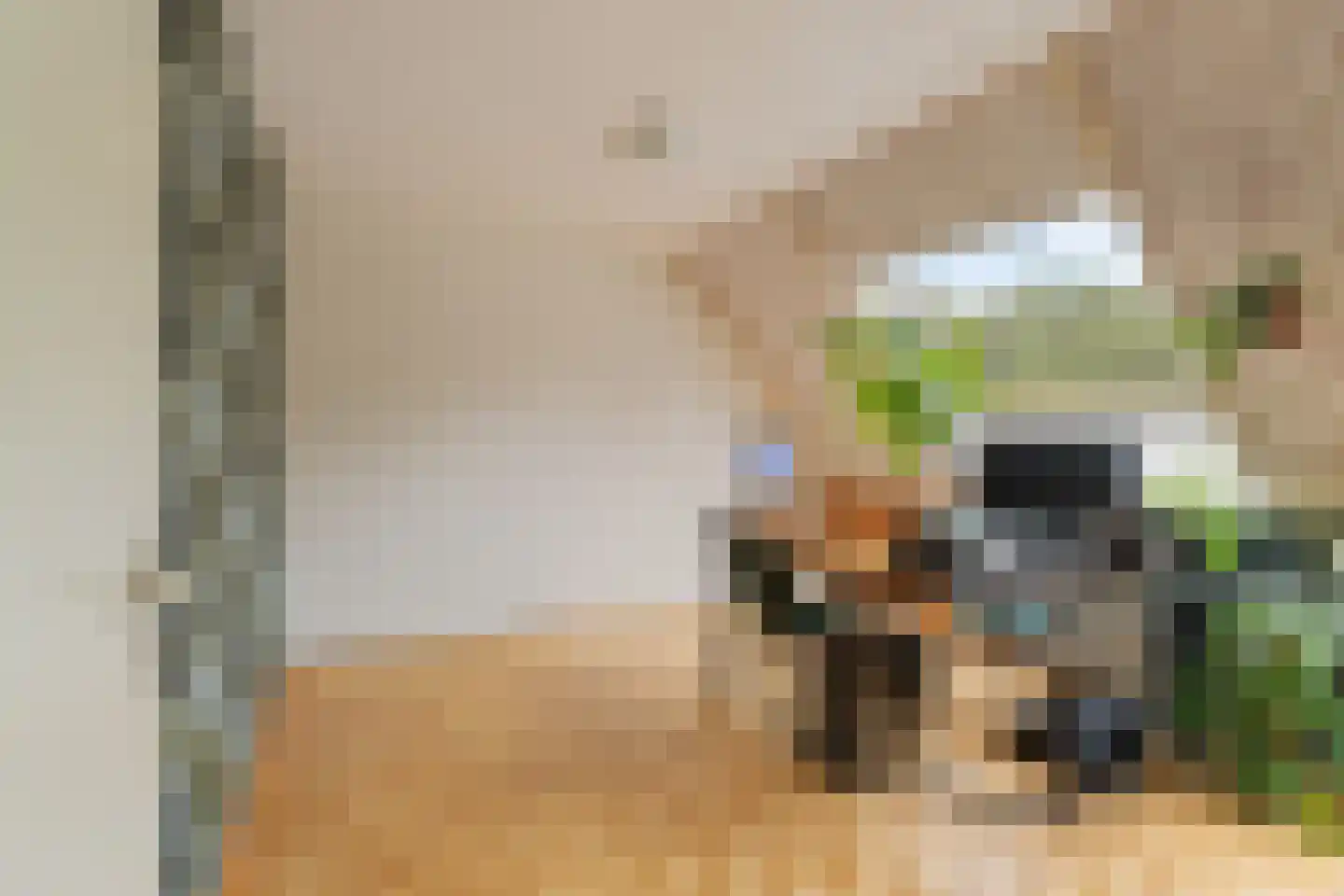 Breedspoor 94 Capelle aan den IJssel thumbnail 18