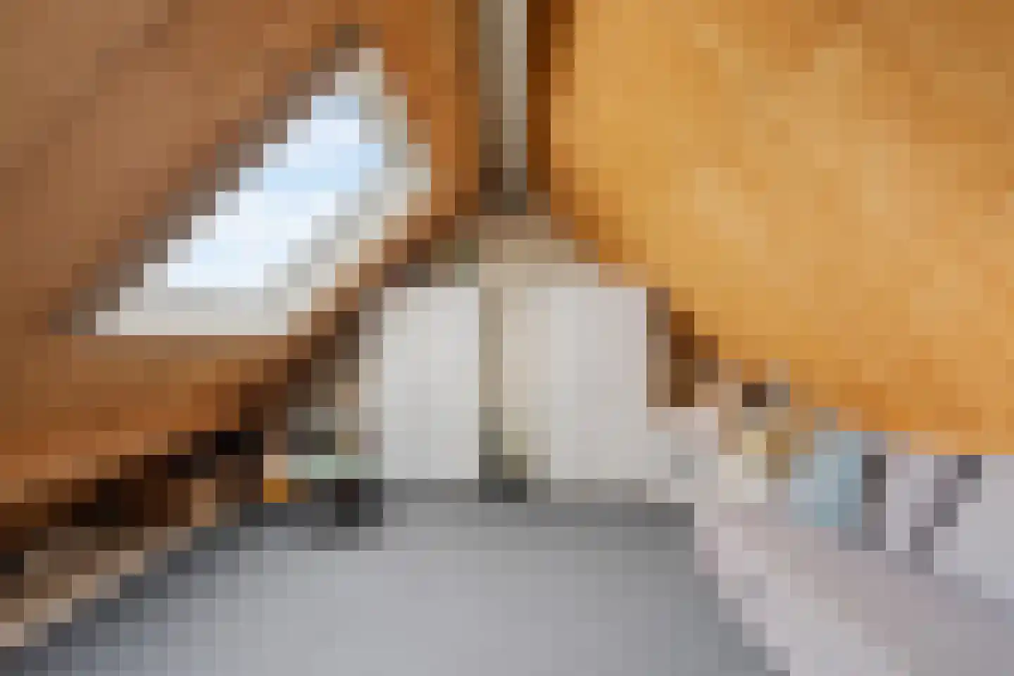 Breedspoor 94 Capelle aan den IJssel thumbnail 24