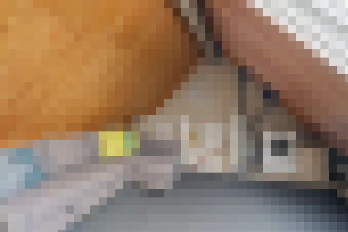 Breedspoor 94 Capelle aan den IJssel thumbnail 25