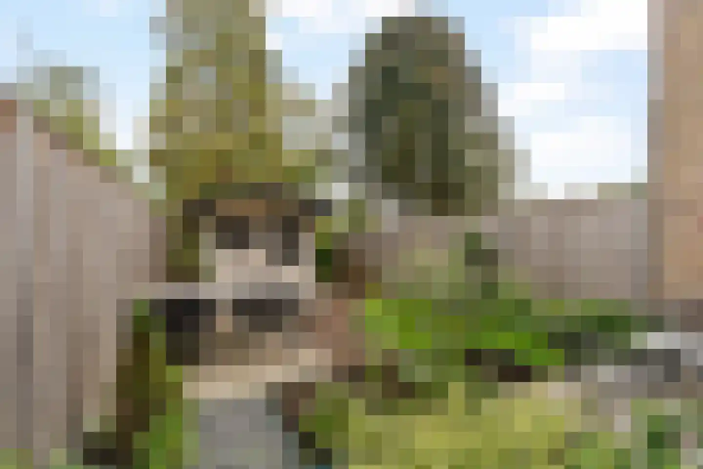 Breedspoor 94 Capelle aan den IJssel thumbnail 26