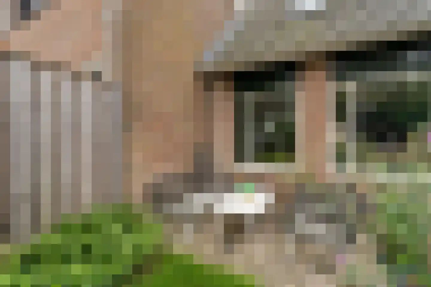Breedspoor 94 Capelle aan den IJssel thumbnail 27