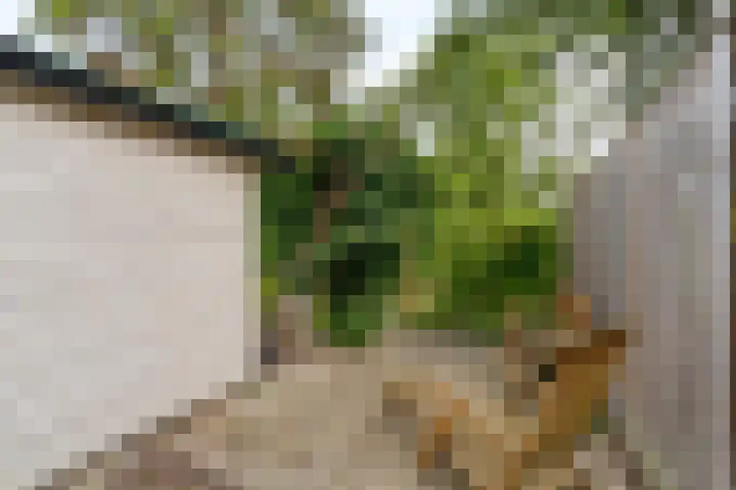 Breedspoor 94 Capelle aan den IJssel thumbnail 28