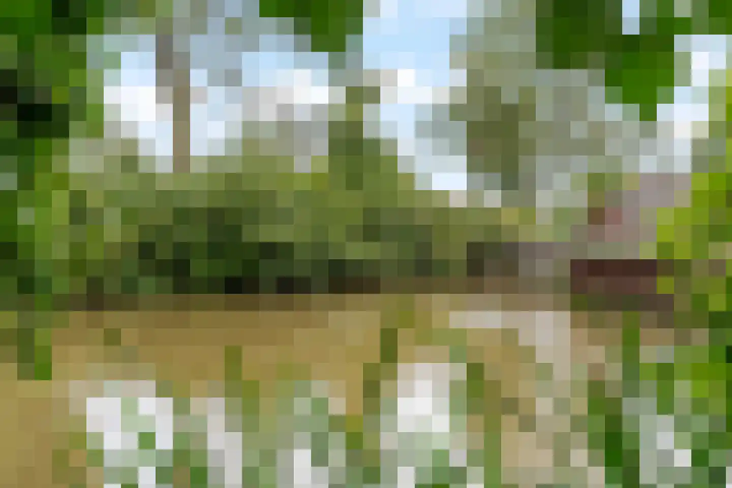 Breedspoor 94 Capelle aan den IJssel thumbnail 29