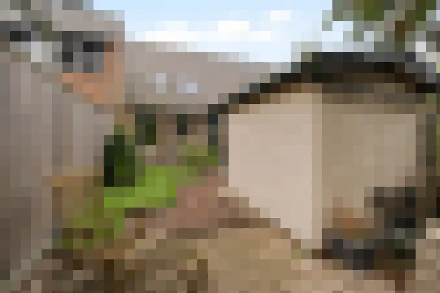 Breedspoor 94 Capelle aan den IJssel thumbnail 30