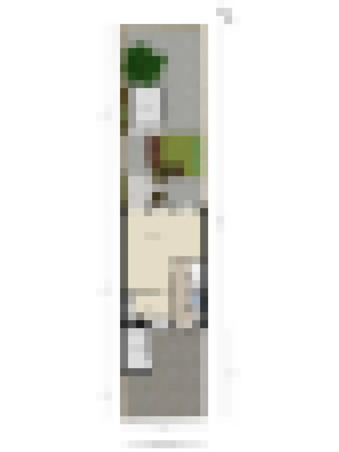 Breedspoor 94 Capelle aan den IJssel thumbnail 39