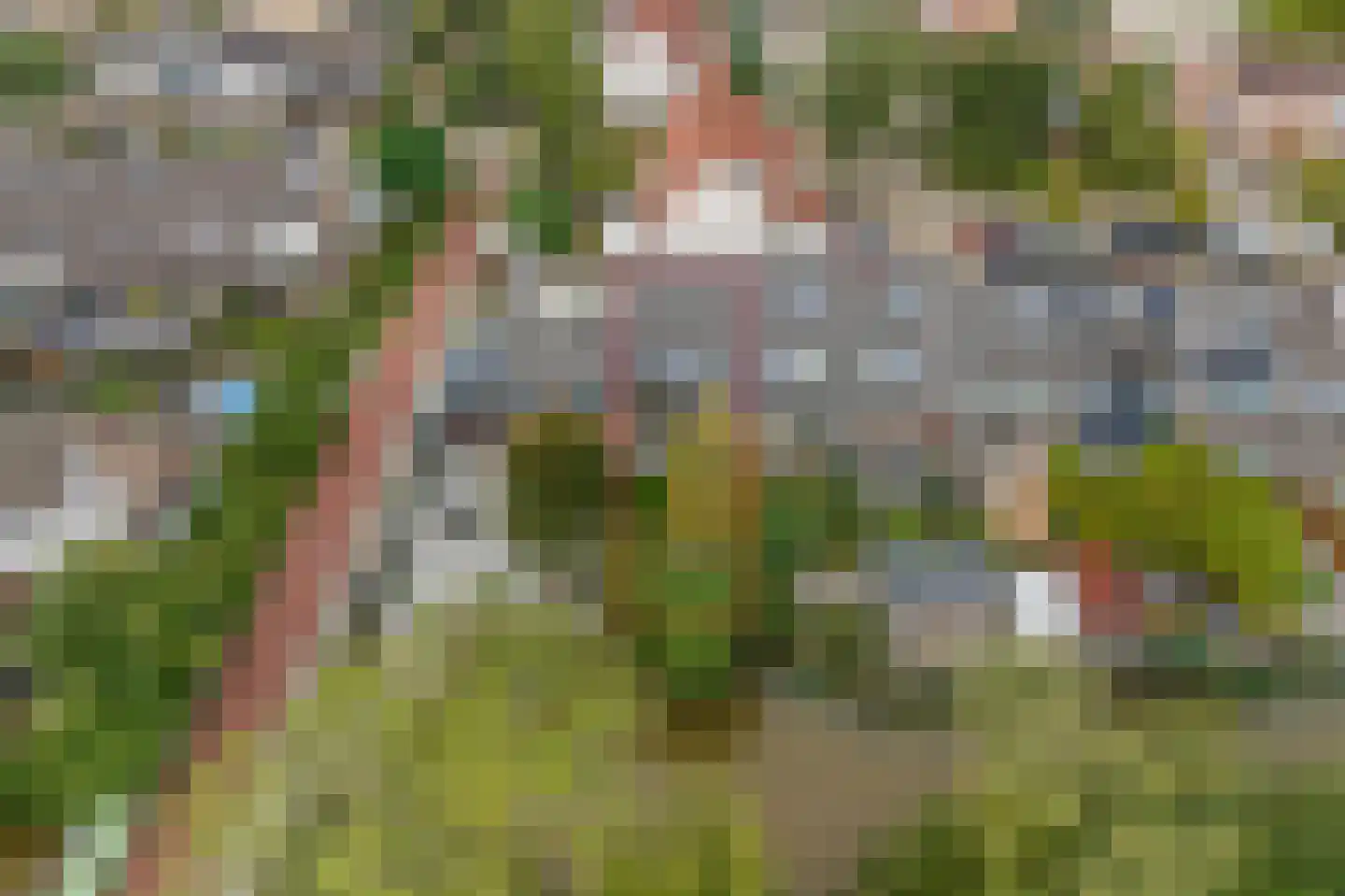 Breedspoor 94 Capelle aan den IJssel thumbnail 4