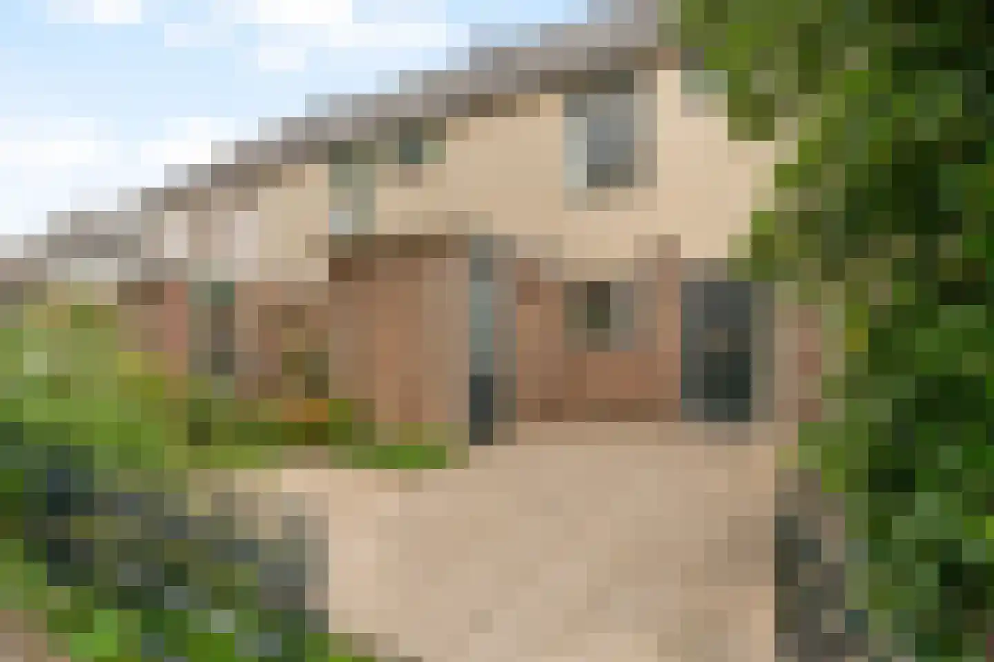 Breedspoor 94 Capelle aan den IJssel thumbnail 6