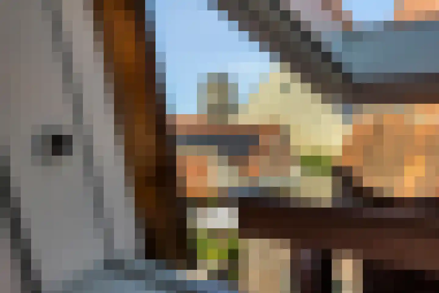 Breedstraat 18 Zierikzee thumbnail 27