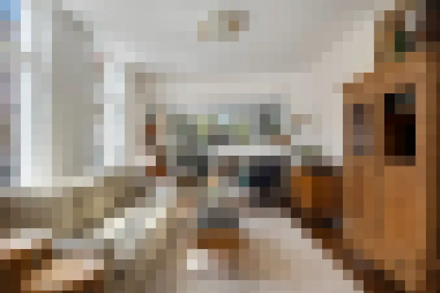 Breedstraat 18 Zierikzee thumbnail 6