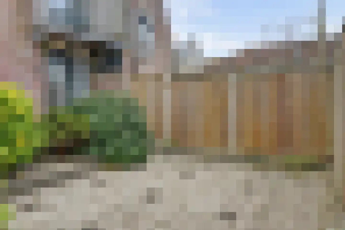 Breedstraat 24 Enkhuizen thumbnail 22