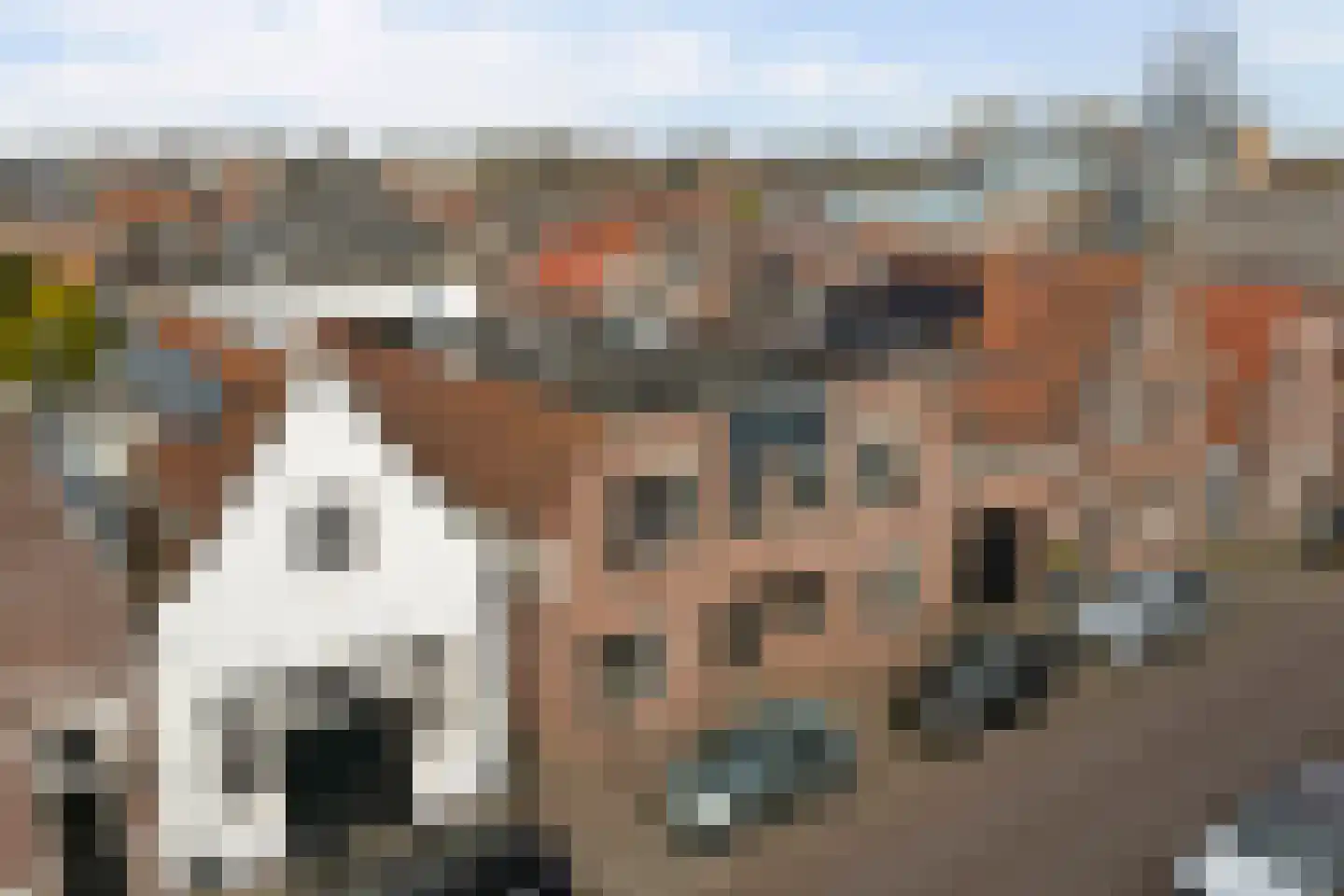 Breedstraat 24 Enkhuizen thumbnail 32