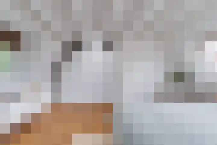 Breedstraat 29 Utrecht thumbnail 32