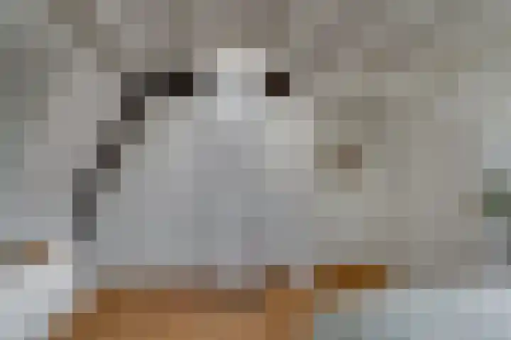 Breedstraat 29 Utrecht thumbnail 36