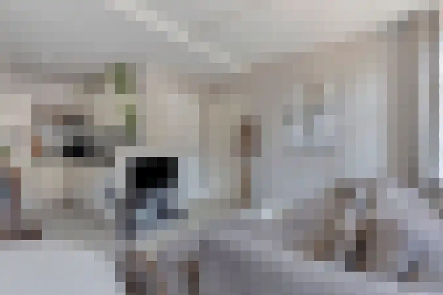 Breedstraat 37 E Alkmaar thumbnail 7