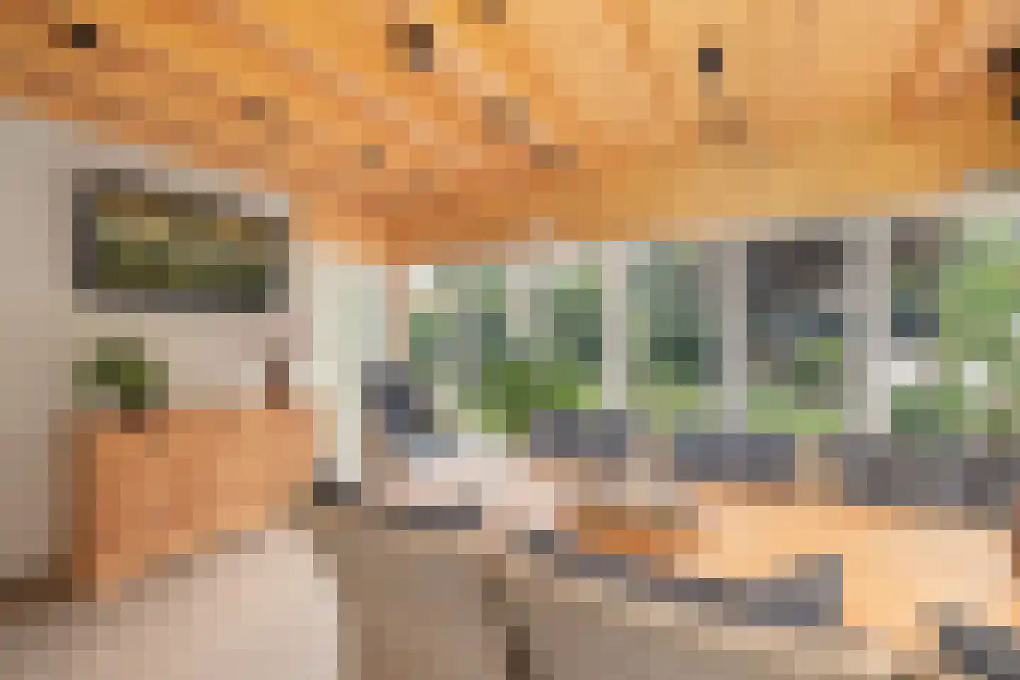 Breedstraat 4 Hedel thumbnail 20