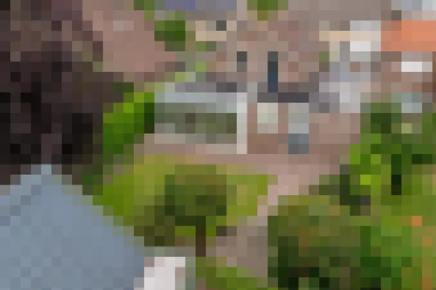 Breedstraat 4 Hedel thumbnail 27