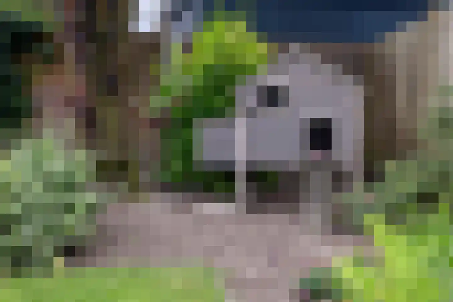 Breedstraat 4 Hedel thumbnail 32