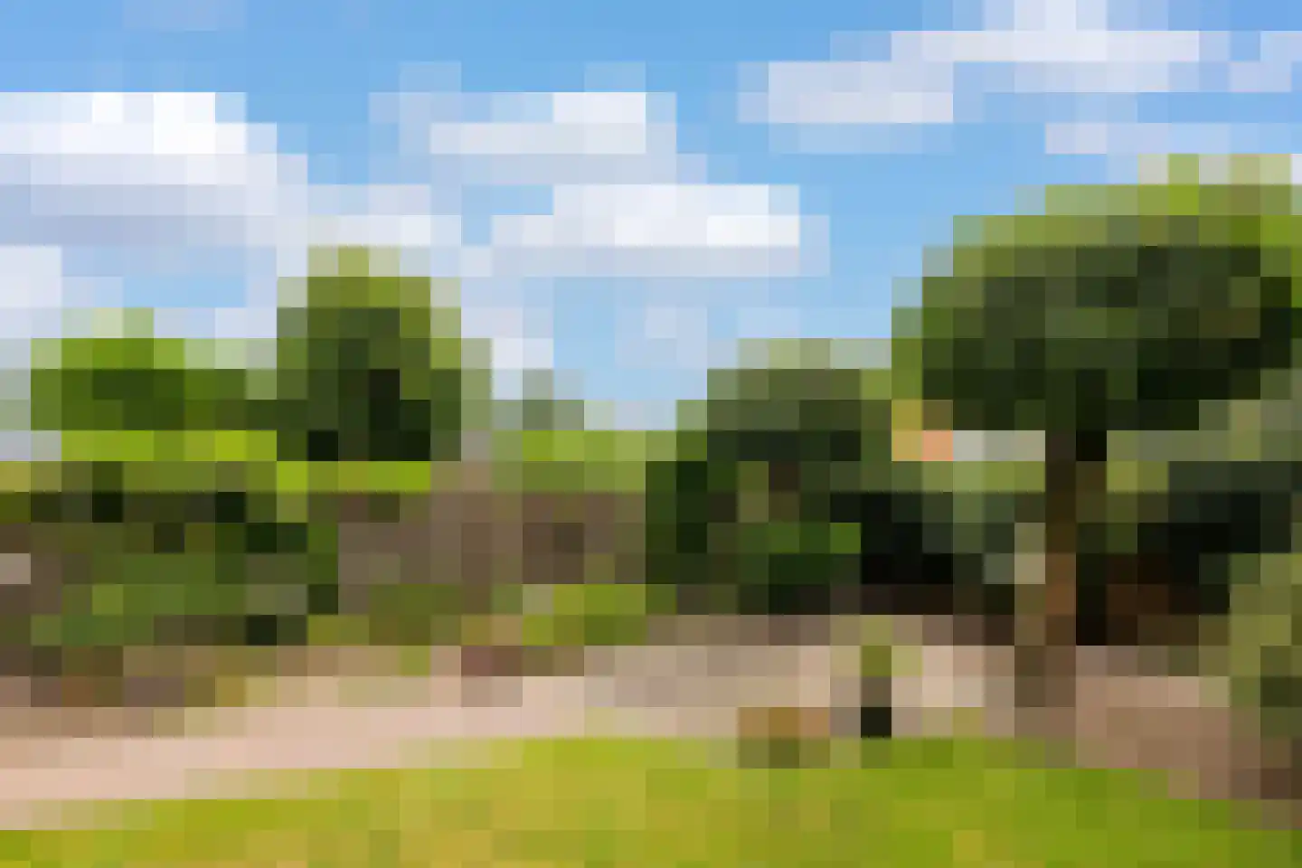 Breedstraat 4 Hedel thumbnail 33
